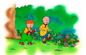 Caillou 