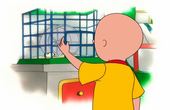 Caillou 