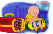 Caillou 