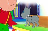 Caillou 