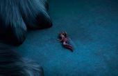 Tinkerbell 