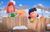 Peanuts - Der Snoopy und Charlie Brown 