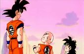 Dragon Ball Z 