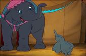 Dumbo 