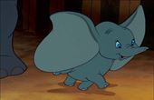 Dumbo 