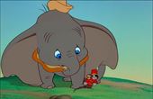 Dumbo 