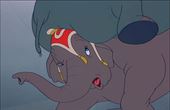 Dumbo 