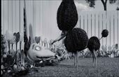 Frankenweenie 