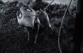 Frankenweenie 