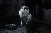 Frankenweenie 