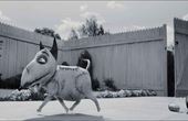 Frankenweenie 