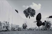 Frankenweenie 