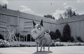 Frankenweenie 