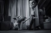 Frankenweenie 