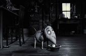 Frankenweenie 