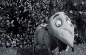 Frankenweenie 