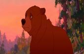 Brother Bear 