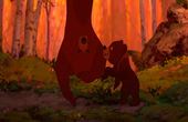 Brother Bear 