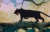 The Jungle Book 