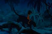 The Jungle Book 