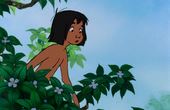 The Jungle Book 