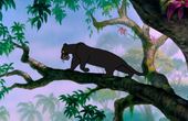 The Jungle Book 