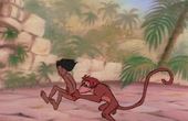 The Jungle Book 