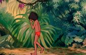 The Jungle Book 