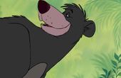 The Jungle Book 