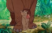 The Jungle Book 