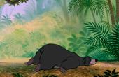 The Jungle Book 