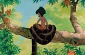 The Jungle Book 