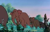 The Jungle Book 