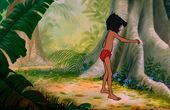 The Jungle Book 