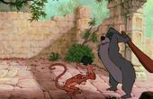 The Jungle Book 