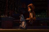 Madagascar 