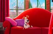 The Secret Life of Pets 