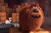 The Secret Life of Pets 