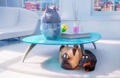 The Secret Life of Pets 