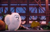 The Secret Life of Pets 