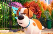 The Secret Life of Pets 