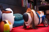 The Secret Life of Pets 