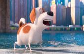 The Secret Life of Pets 