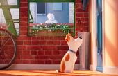 The Secret Life of Pets 