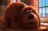 The Secret Life of Pets 