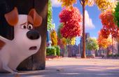 The Secret Life of Pets 