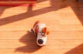 The Secret Life of Pets 