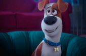 The Secret Life of Pets 