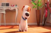 The Secret Life of Pets 