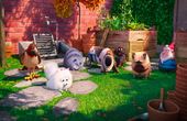 The Secret Life of Pets 